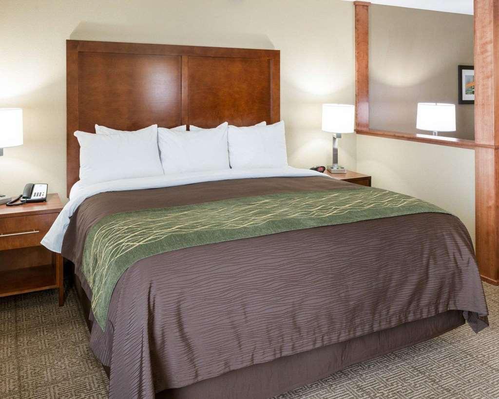 Comfort Inn & Suites West - Medical Center Rochester Zimmer foto